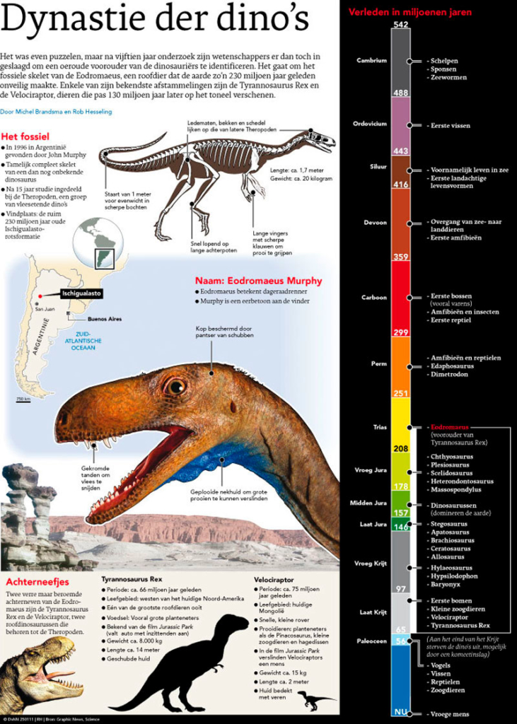 DYNASTIE DER DINO'S