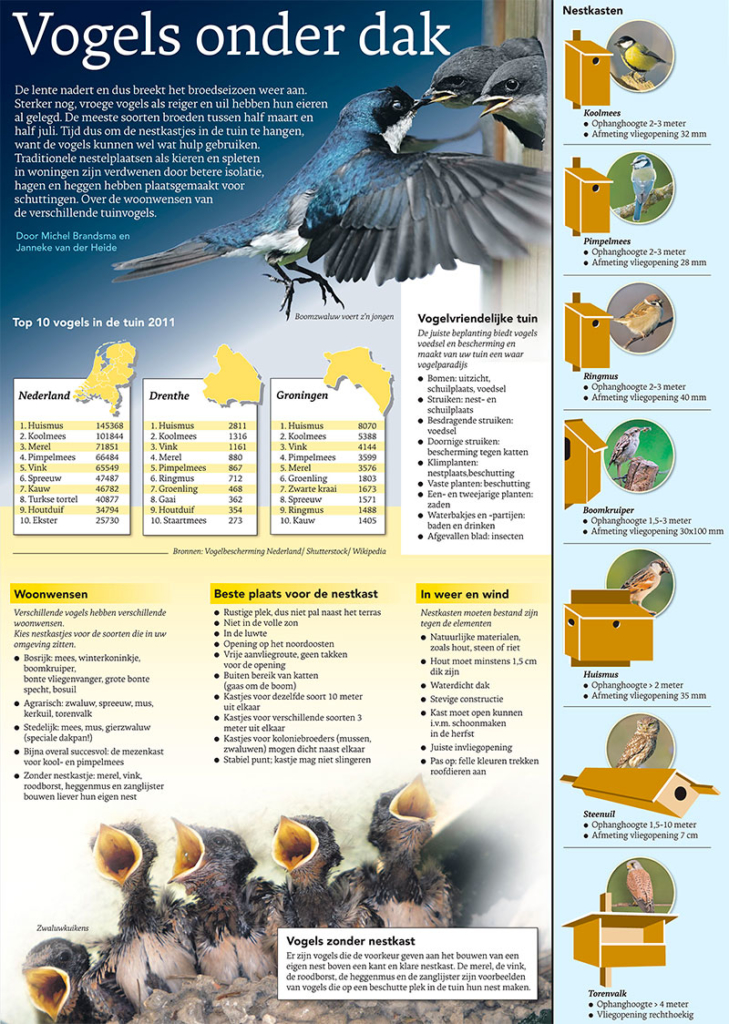 VOGELS ONDER DAK