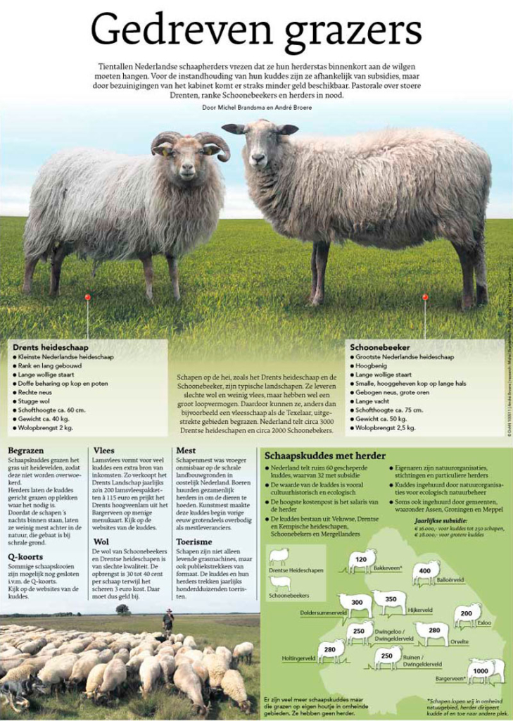 GEDREVEN GRAZERS