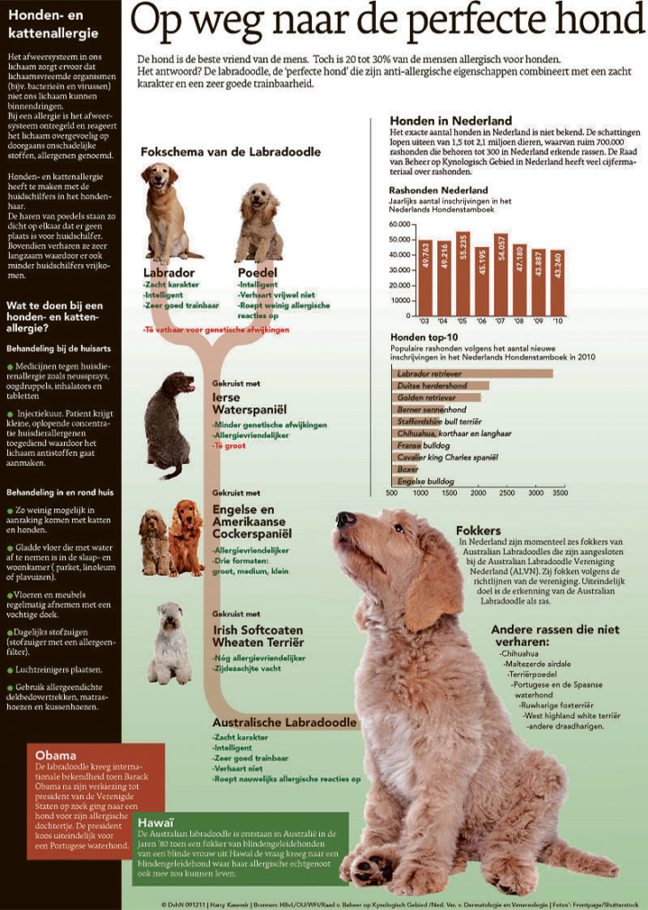 OP WEG NAAR DE PERFECTE HOND