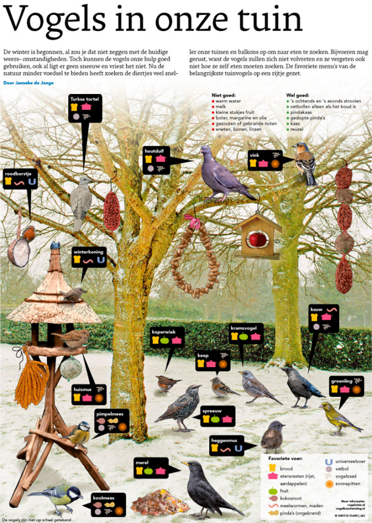 VOGELS IN ONZE TUIN
