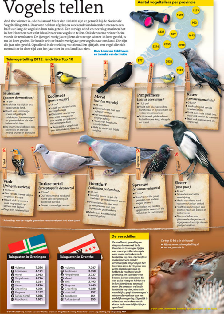 VOGELS TELLEN
