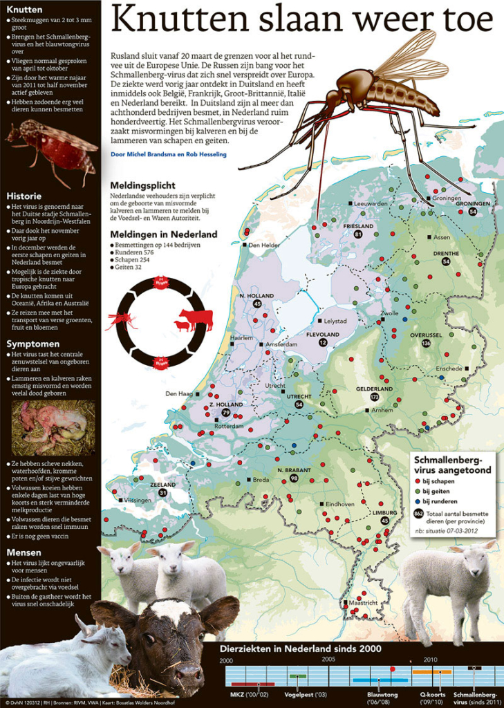 KNUTTEN SLAAN WEER TOE