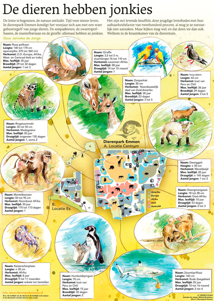 DE DIEREN HEBBEN JONKIES