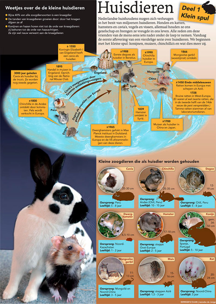 DIEREN IN HUIS [1]: KLEIN SPUL