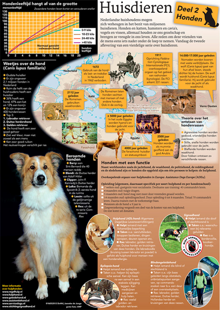 DIEREN IN HUIS [2]: HONDEN