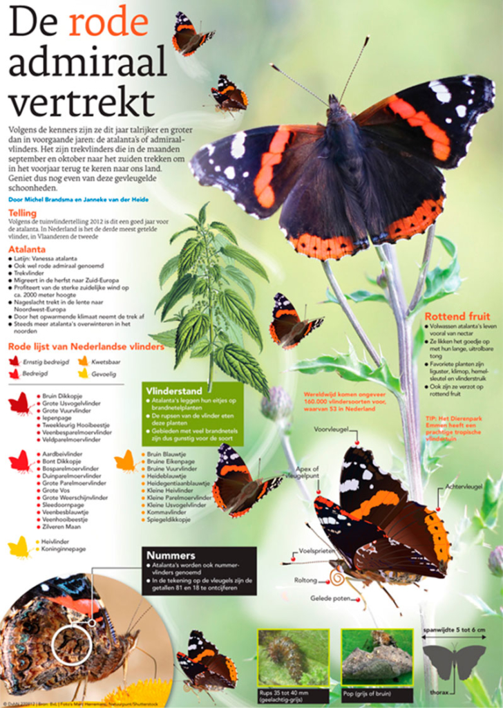 DE RODE ADMIRAAL VERTREKT