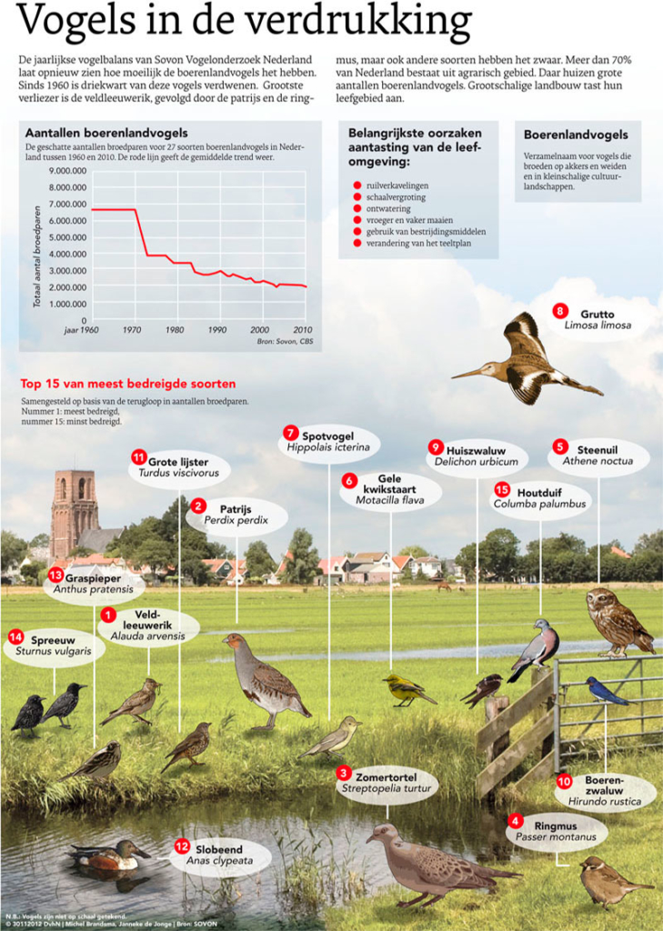 VOGELS IN DE VERDRUKKING