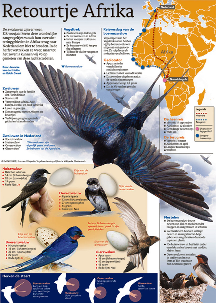 RETOURTJE AFRIKA