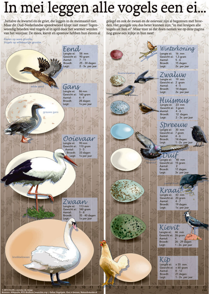 IN MEI LEGGEN ALLE VOGELS EEN EI