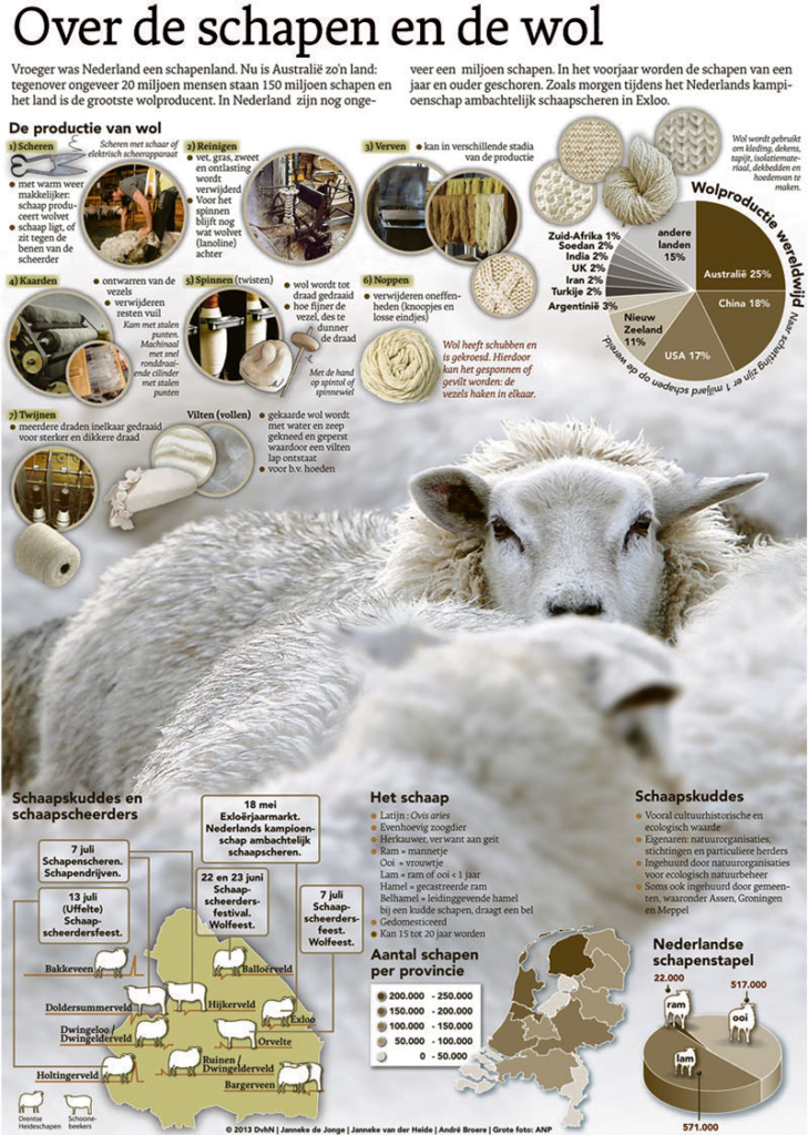 OVER DE SCHAPEN EN DE WOL