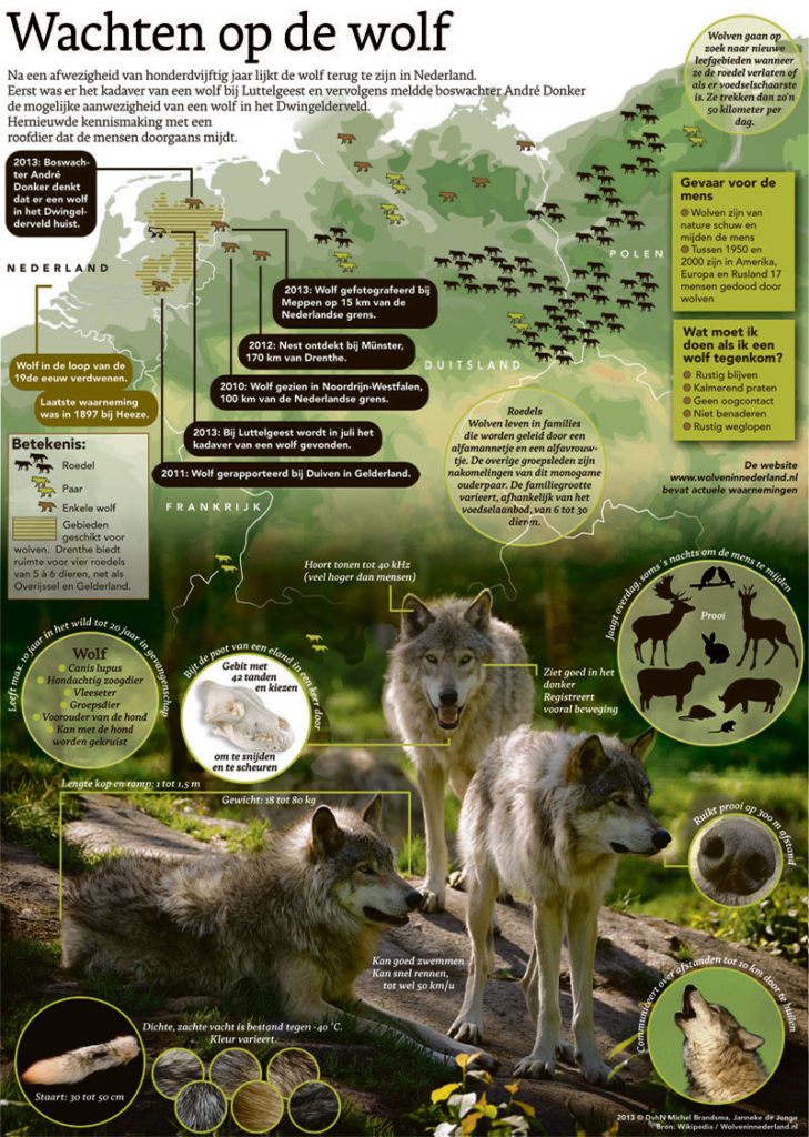 WACHTEN OP DE WOLF