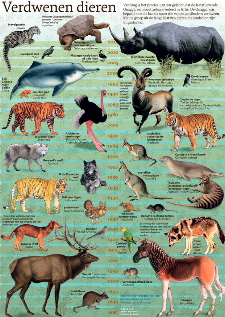 VERDWENEN DIEREN