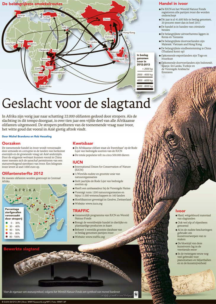 GESLACHT VOOR DE SLAGTAND