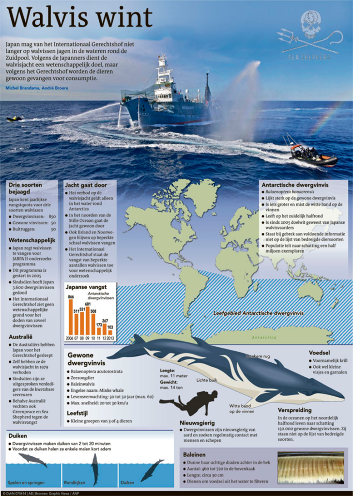WALVIS WINT