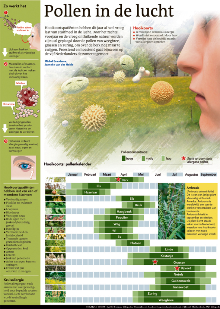 POLLEN IN DE LUCHT
