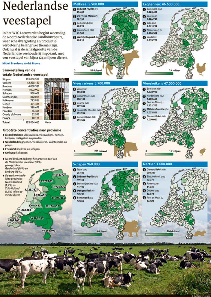 NEDERLANDSE VEESTAPEL