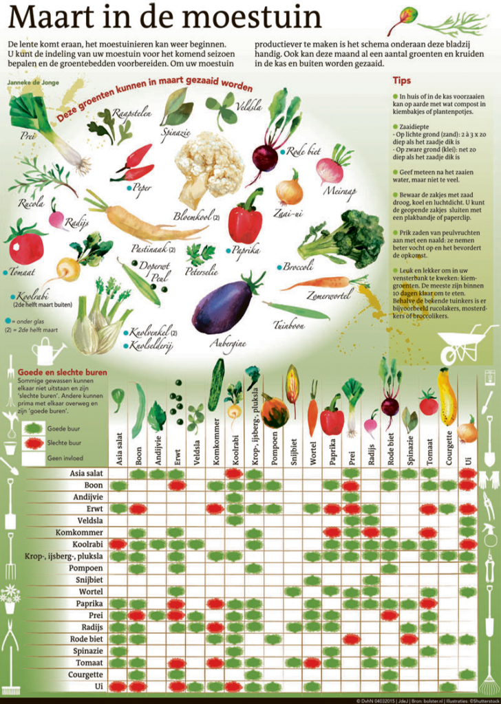 MAART IN DE MOESTUIN