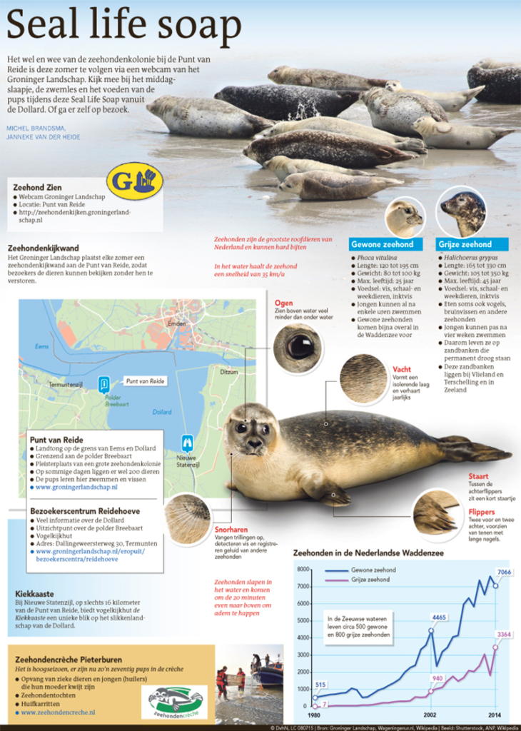 SEAL LIFE SOAP