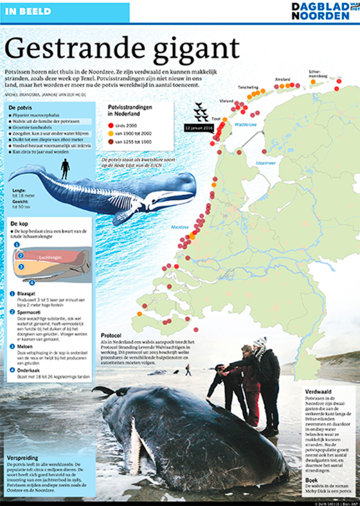 GESTRANDE GIGANT