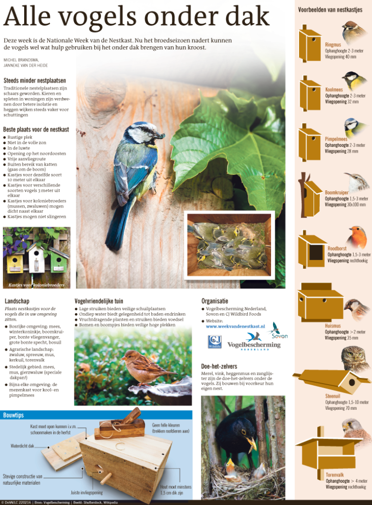 ALLE VOGELS ONDER DAK