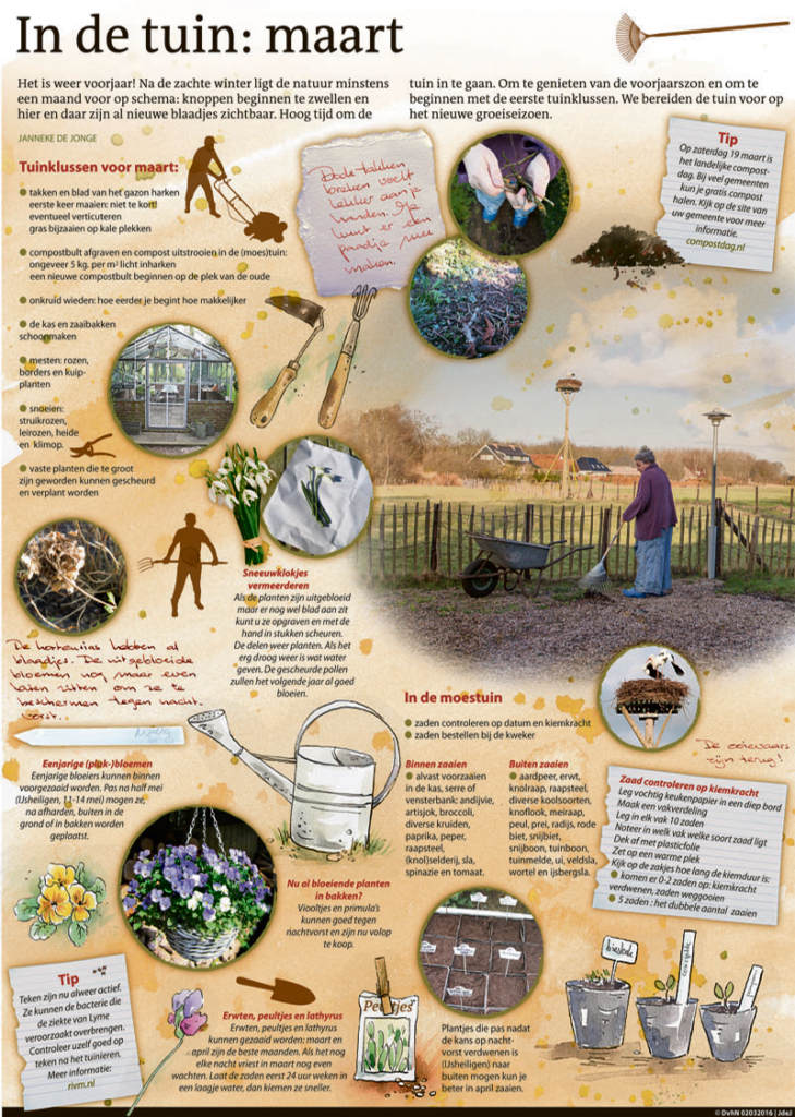 IN DE TUIN: MAART