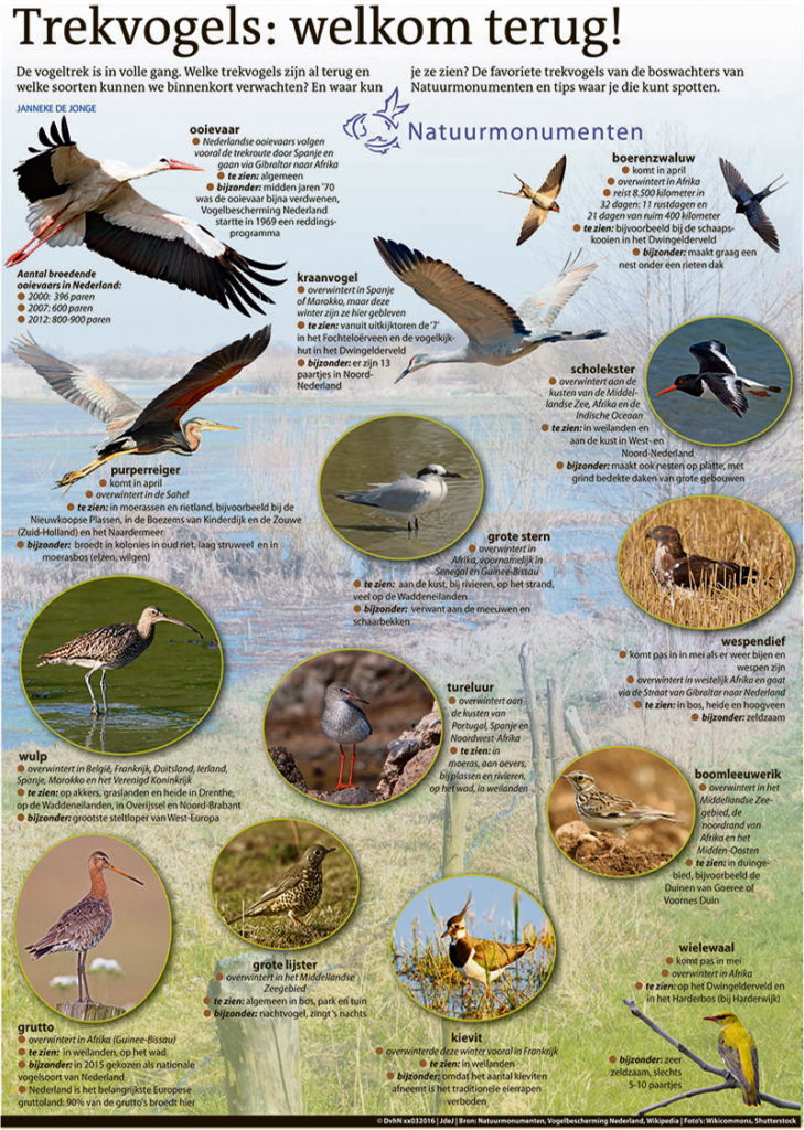 TREKVOGELS: WELKOM TERUG!