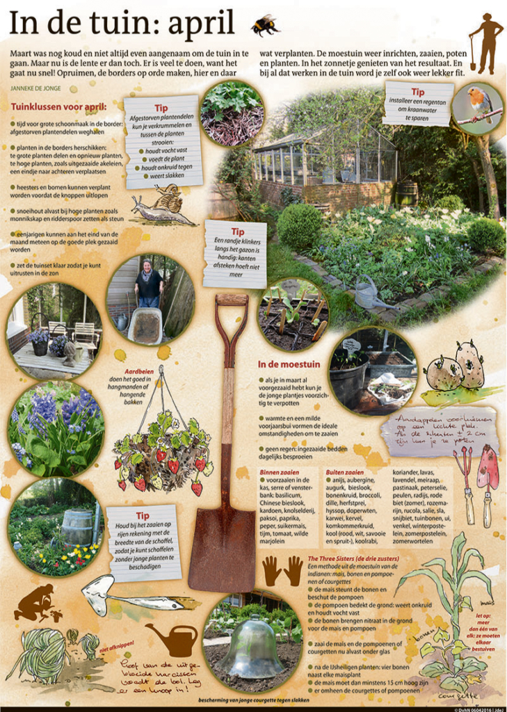 IN DE TUIN: APRIL