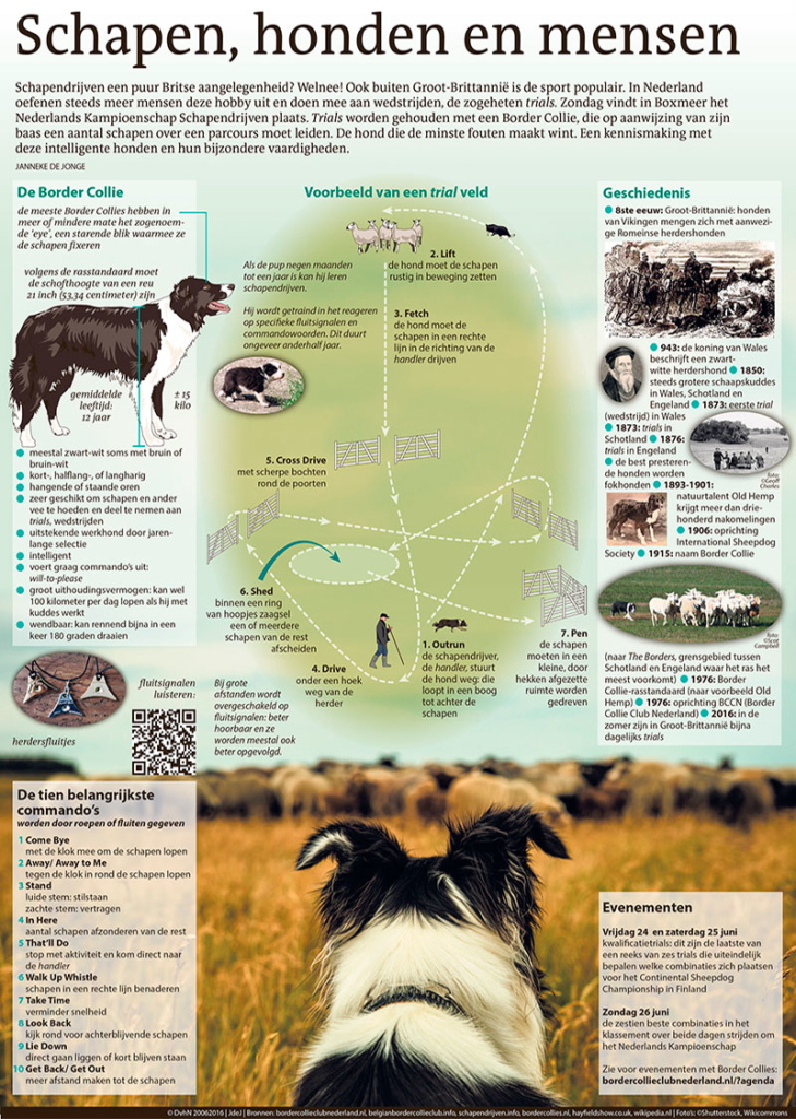 SCHAPEN, HONDEN EN MENSEN
