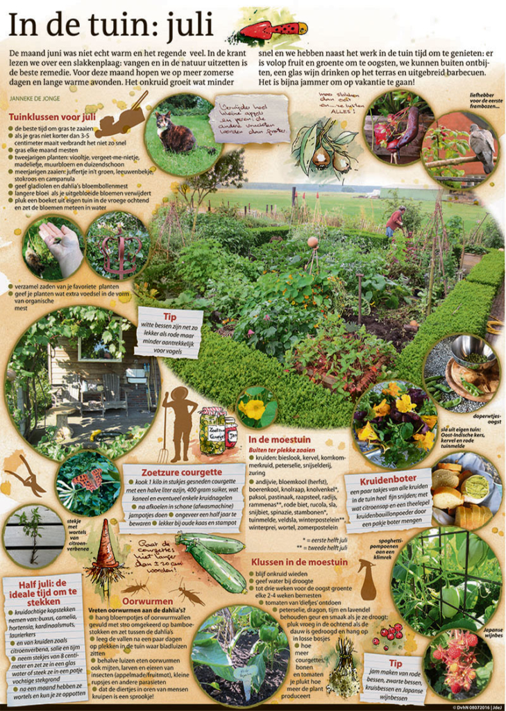 IN DE TUIN: JULI