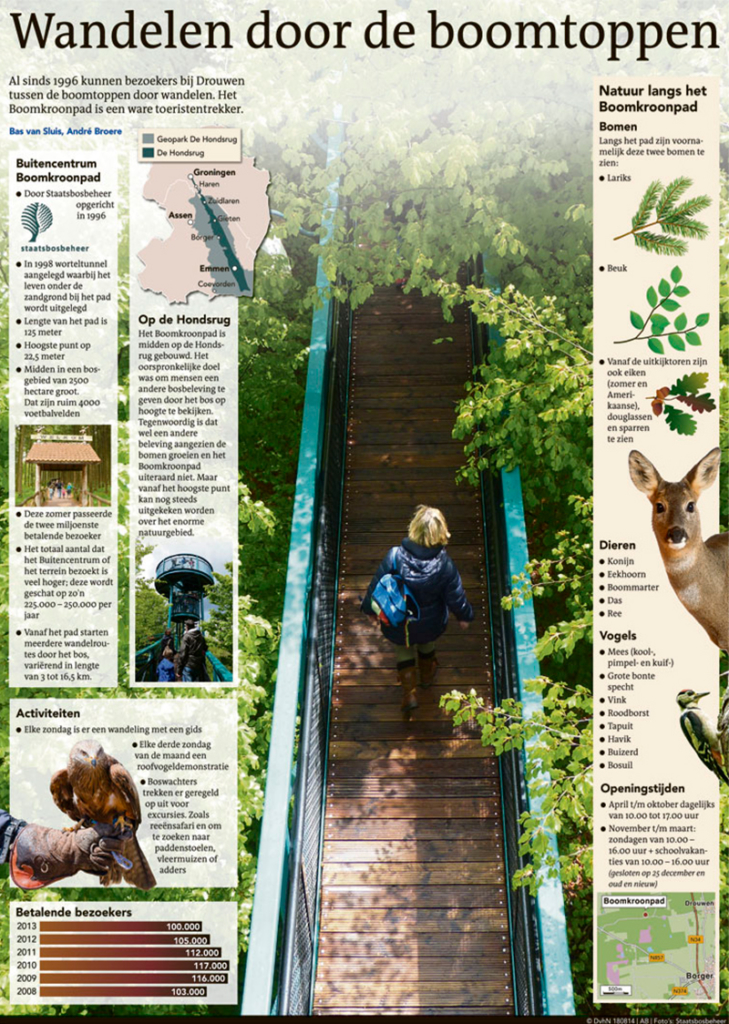 WANDELEN DOOR DE BOOMTOPPEN