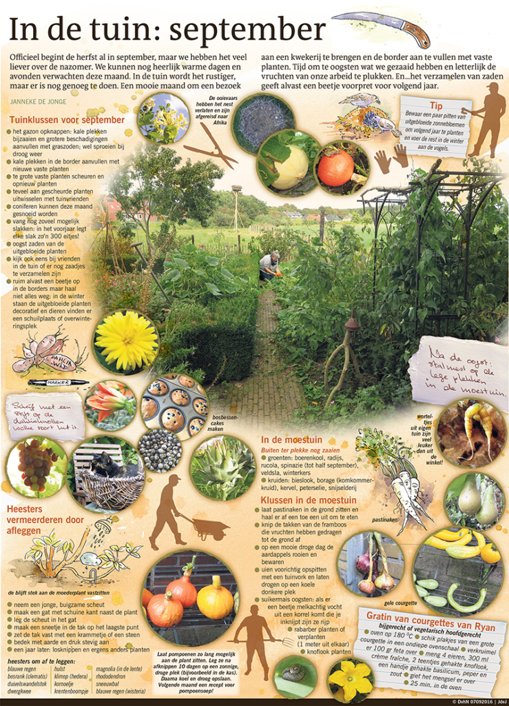 IN DE TUIN: SEPTEMBER