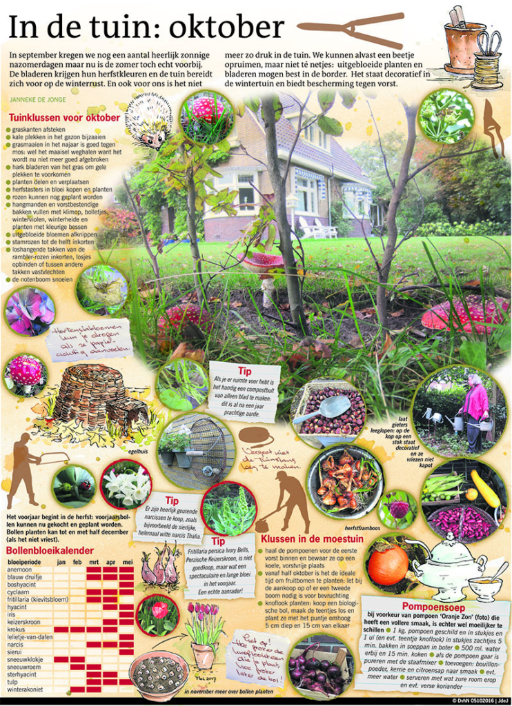 IN DE TUIN: OKTOBER