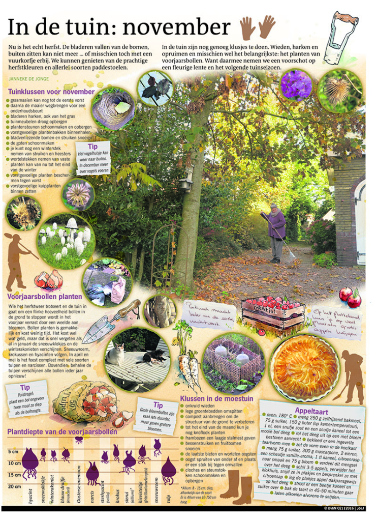 IN DE TUIN: NOVEMBER