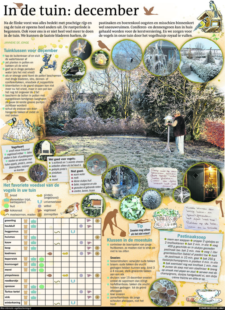 IN DE TUIN DECEMBER