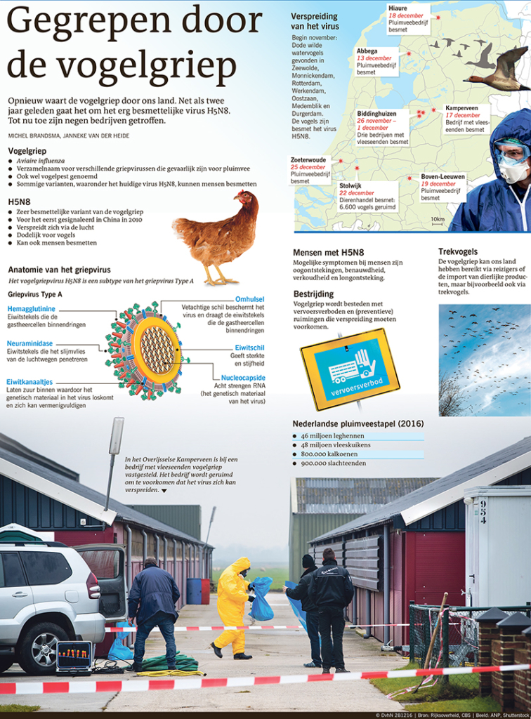 GEGREPEN DOOR DE VOGELGRIEP