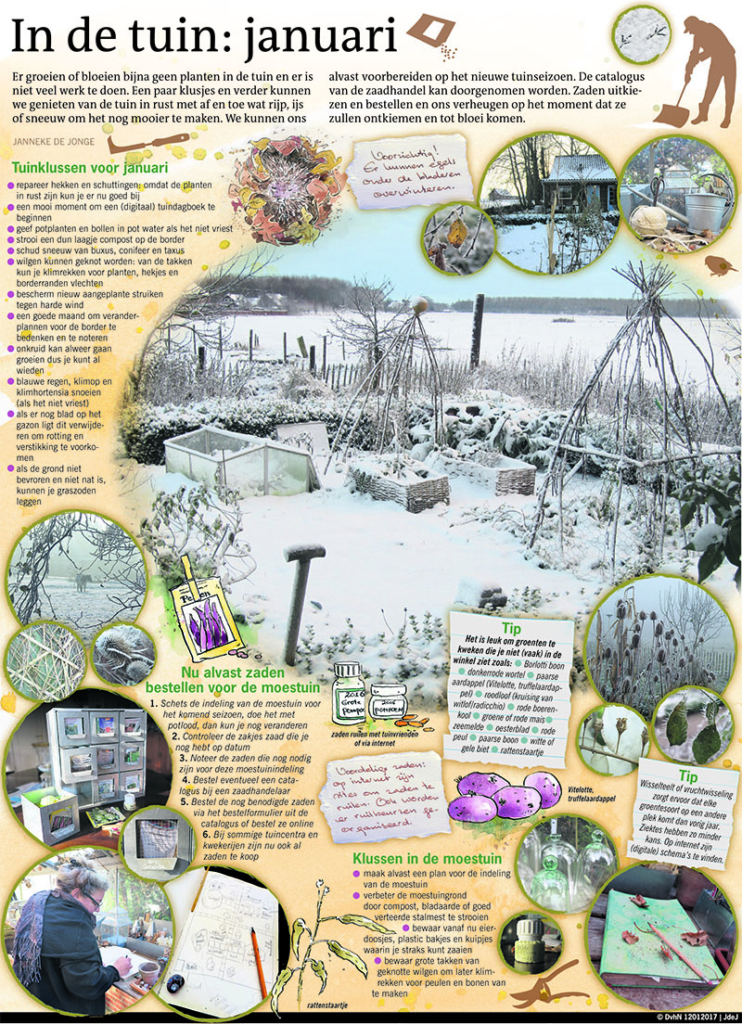 IN DE TUIN JANUARI