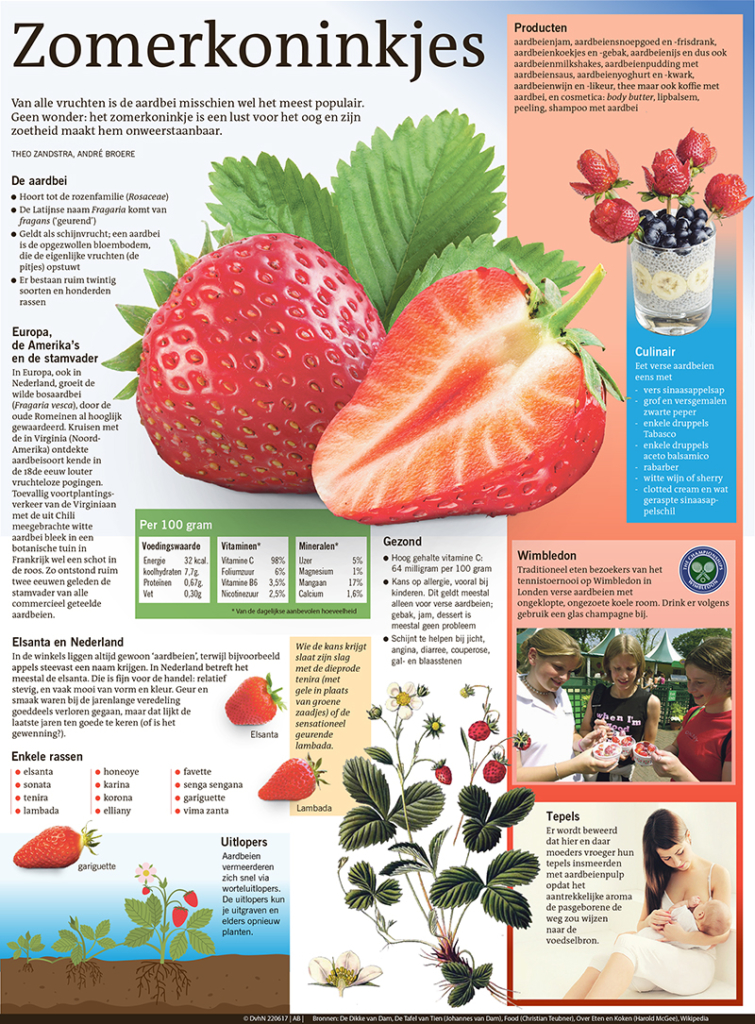 Zomerkoninkjes