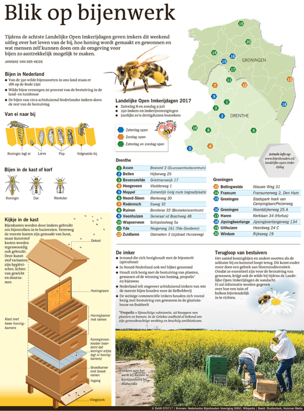Blik op bijenwerk