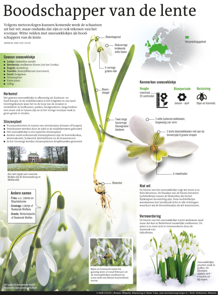 Boodschapper van de lente