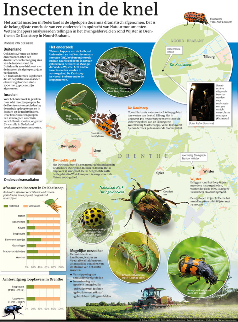 INSECTEN IN DE KNEL