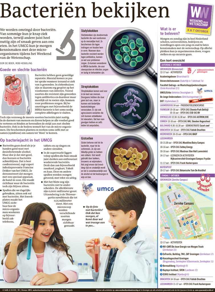Bacteriën bekijken