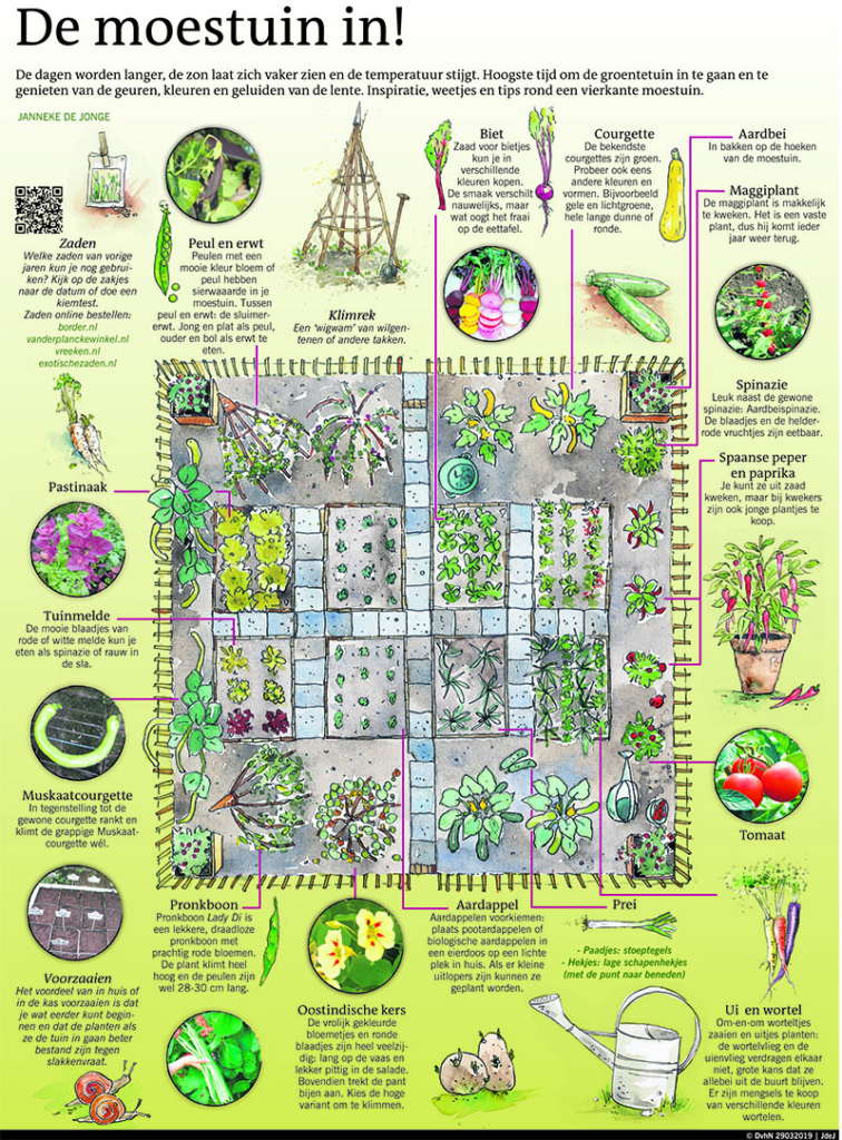 De moestuin in!