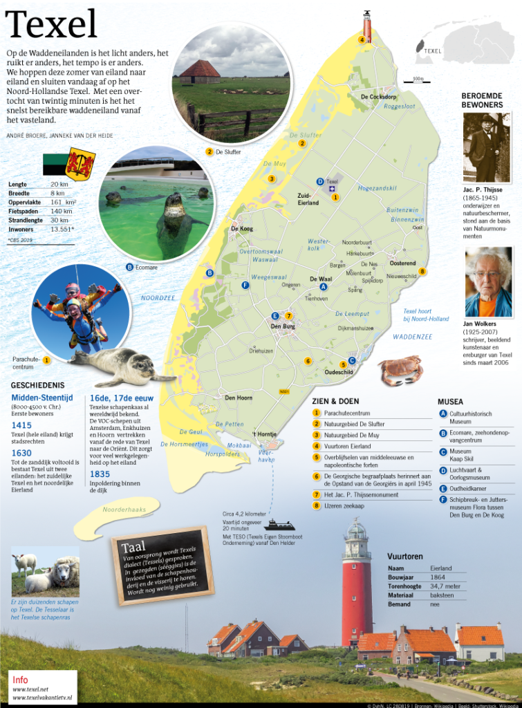 TEXEL