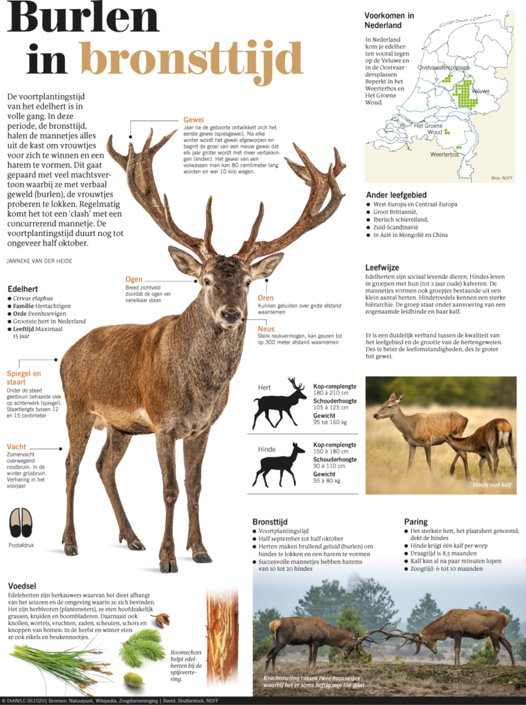 BURLEN IN BRONSTTIJD