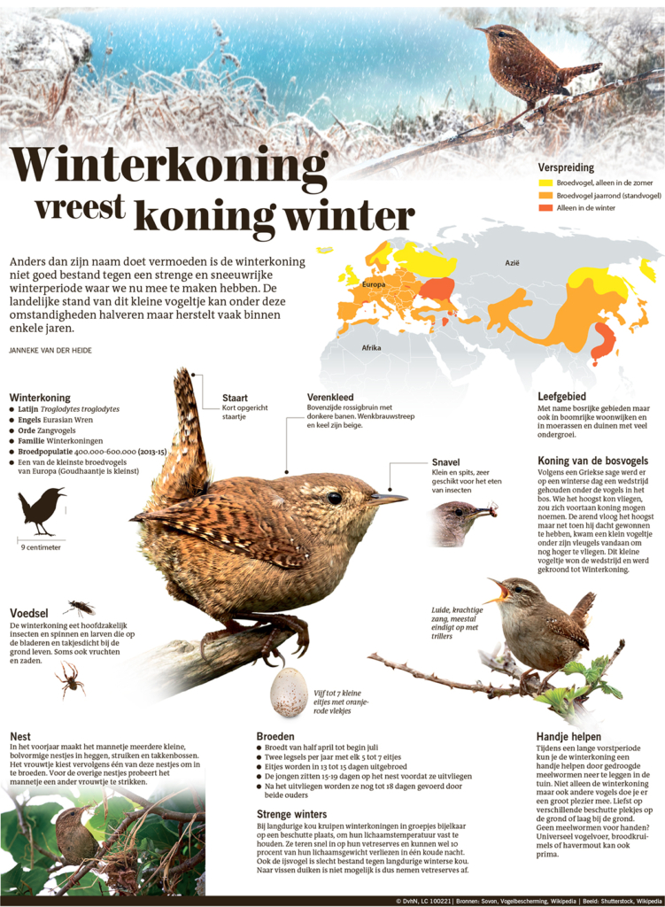 WINTERKONING VREEST KONING WINTER