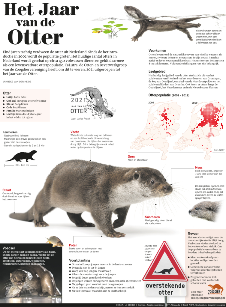 HET JAAR VAN DE OTTER