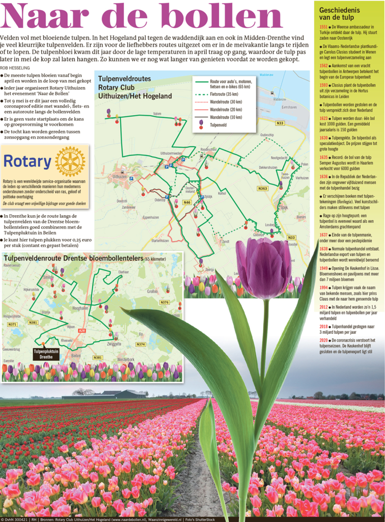NAAR DE BOLLEN