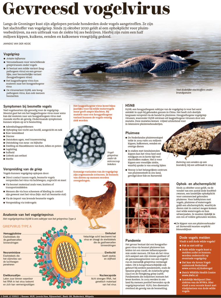 GEVREESD VOGELVIRUS
