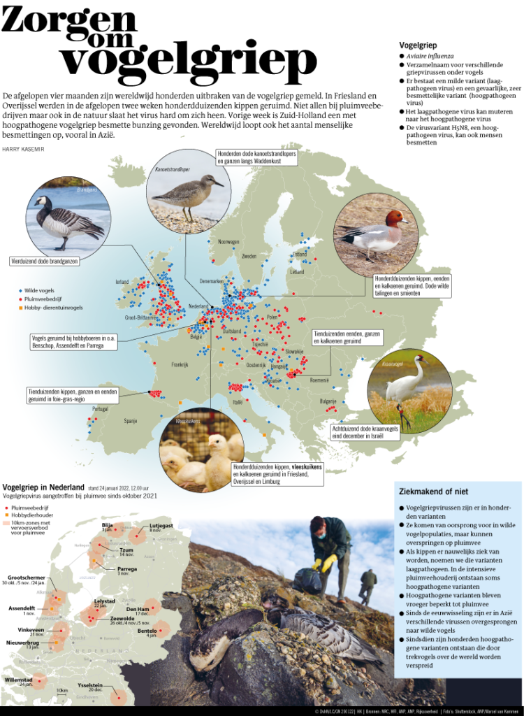 Zorgen om vogelgriep